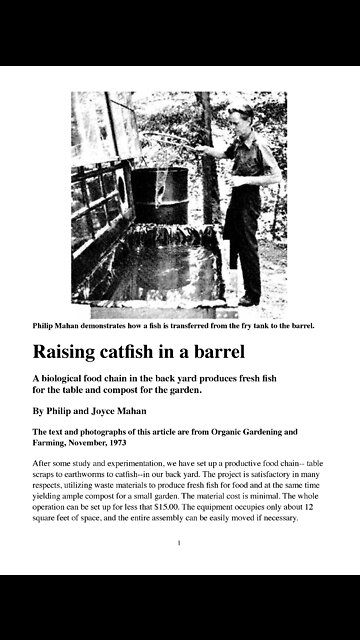 Surviving the NWO - [Farming] Raising catfish in a barrel