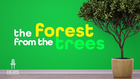 The Forest From the Trees | Moment of Hope | Pastor Brian Lother