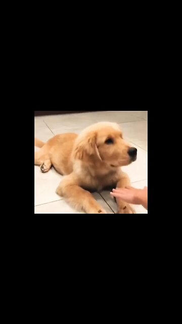 hello there! 😁⭐🙌 #shorts #shortsfeed #clips #shortvideo