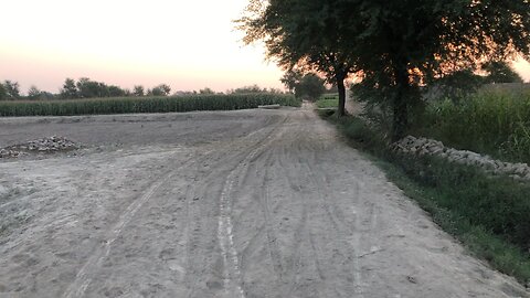 Village Morning
