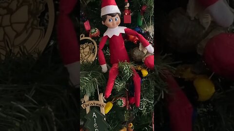 Pawpaw caught the elf moving