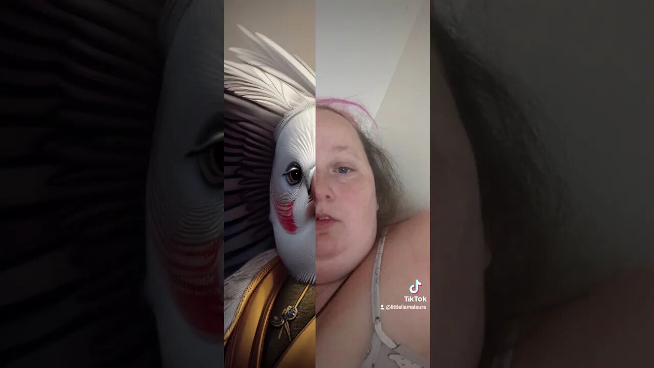 time to turn into a bird #tiktok #tiktoktrend