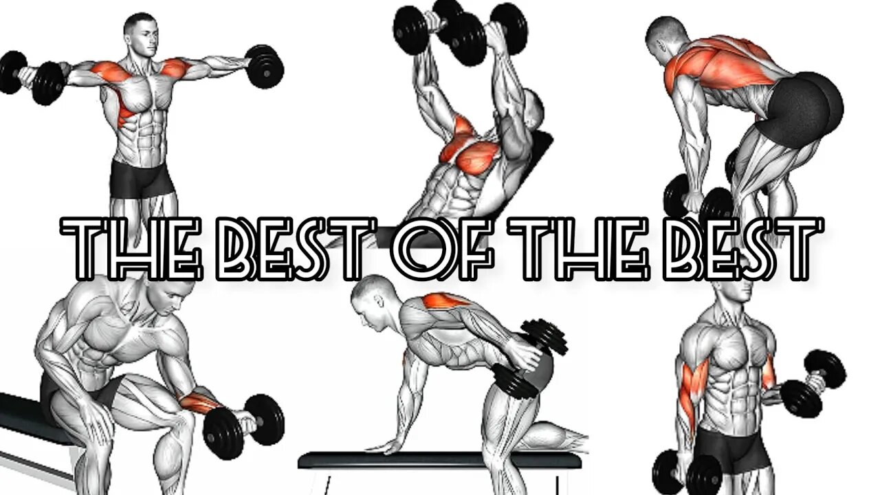 The 3 best dumbbell exercises for each muscle group of the upper body (gym/home)