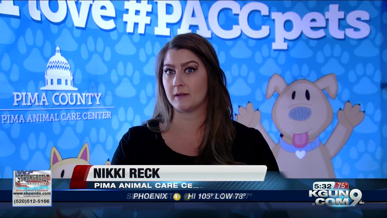 Animal care staff urge pet owners to register pet microchips