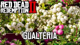 Localização Gualtéria Red dead online