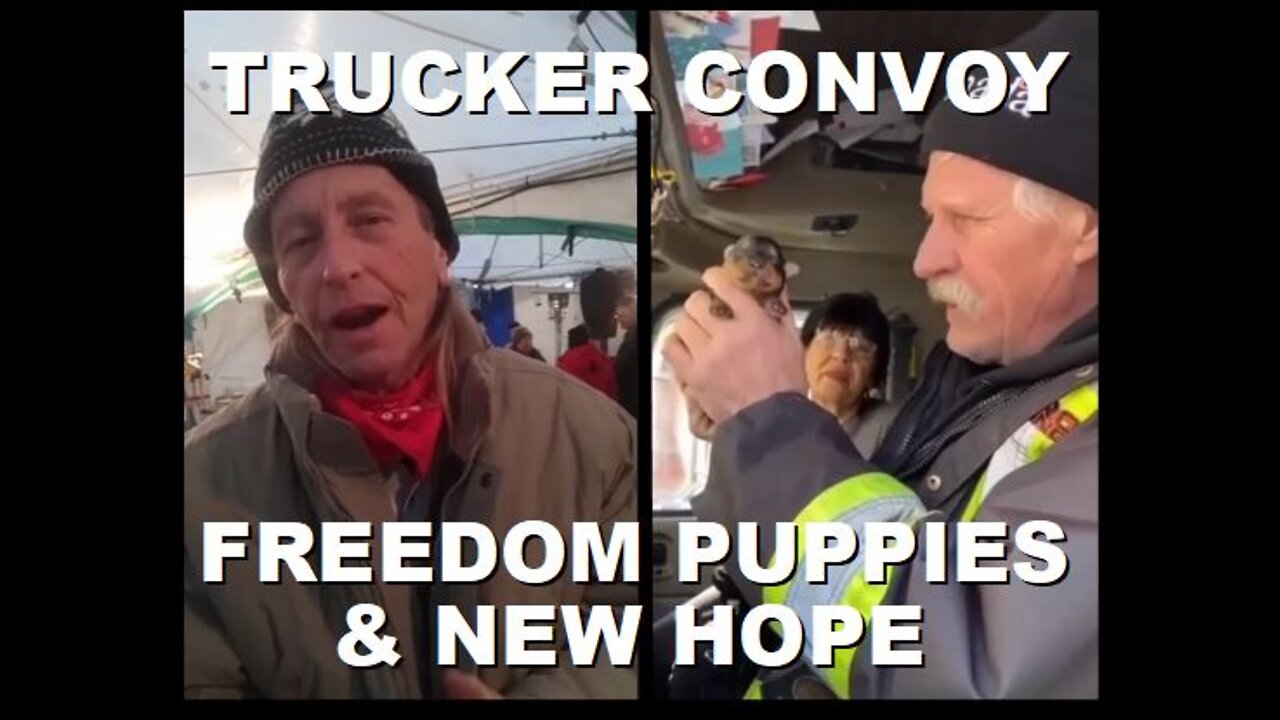 Convoy Update: Freedom Puppies, Renewed Hope for Ottawa Resident, Global News Told off | Feb 16 2022