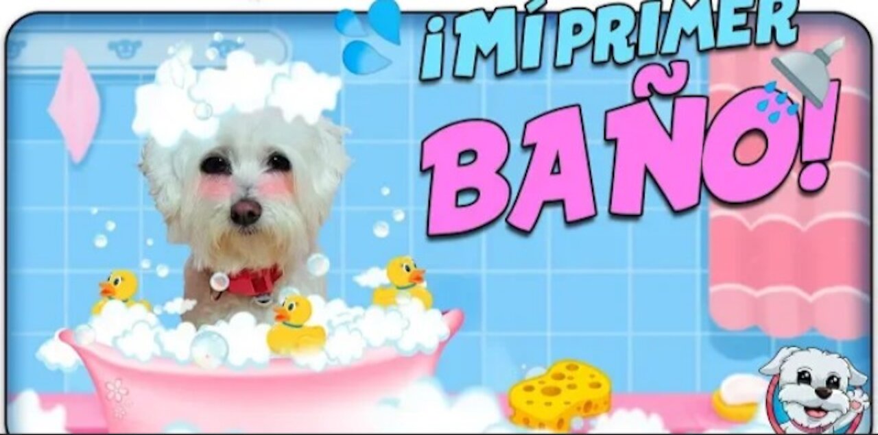 Mi primer baño en el Salon De Belleza para Perros