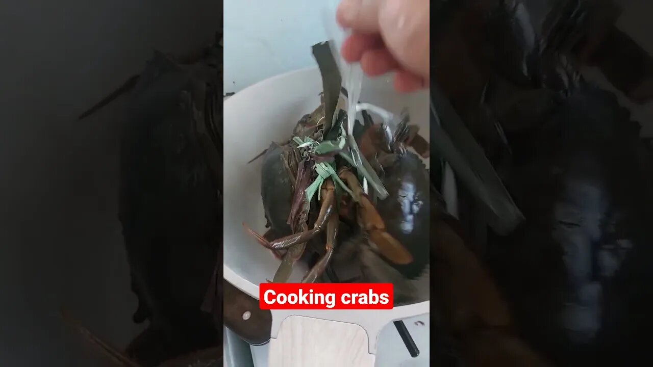 #recipeoftheday #crabs #crabasmr #asmrfood #asmr #sarisaristore