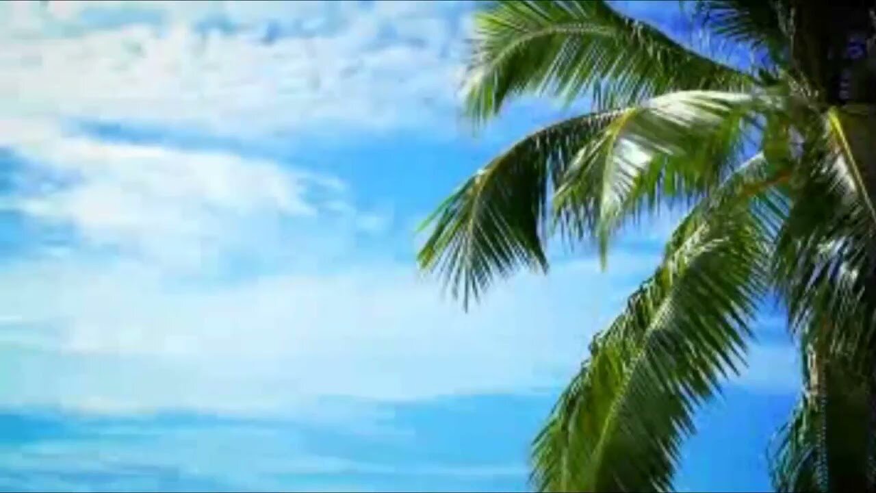 Betto Gasparoni - Amor no Paraíso