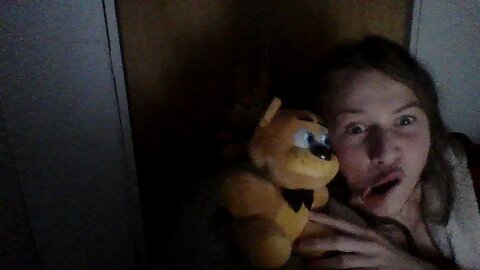 Sleep Stream in the closet LMAOOOO fnaf plush