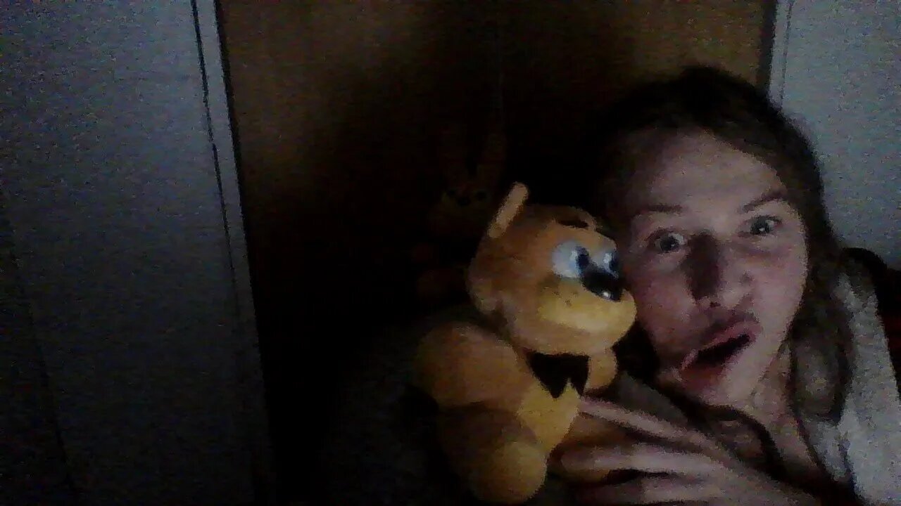 Sleep Stream in the closet LMAOOOO fnaf plush