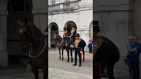 This horse is on the turn #horseguardsparade