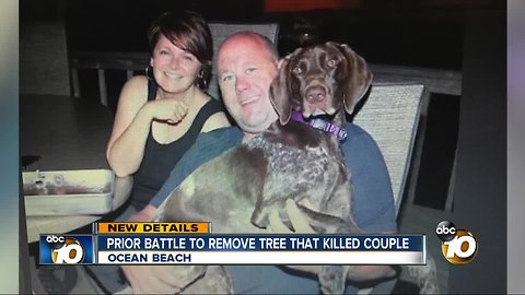 Prior battle to remove tree that killed couple