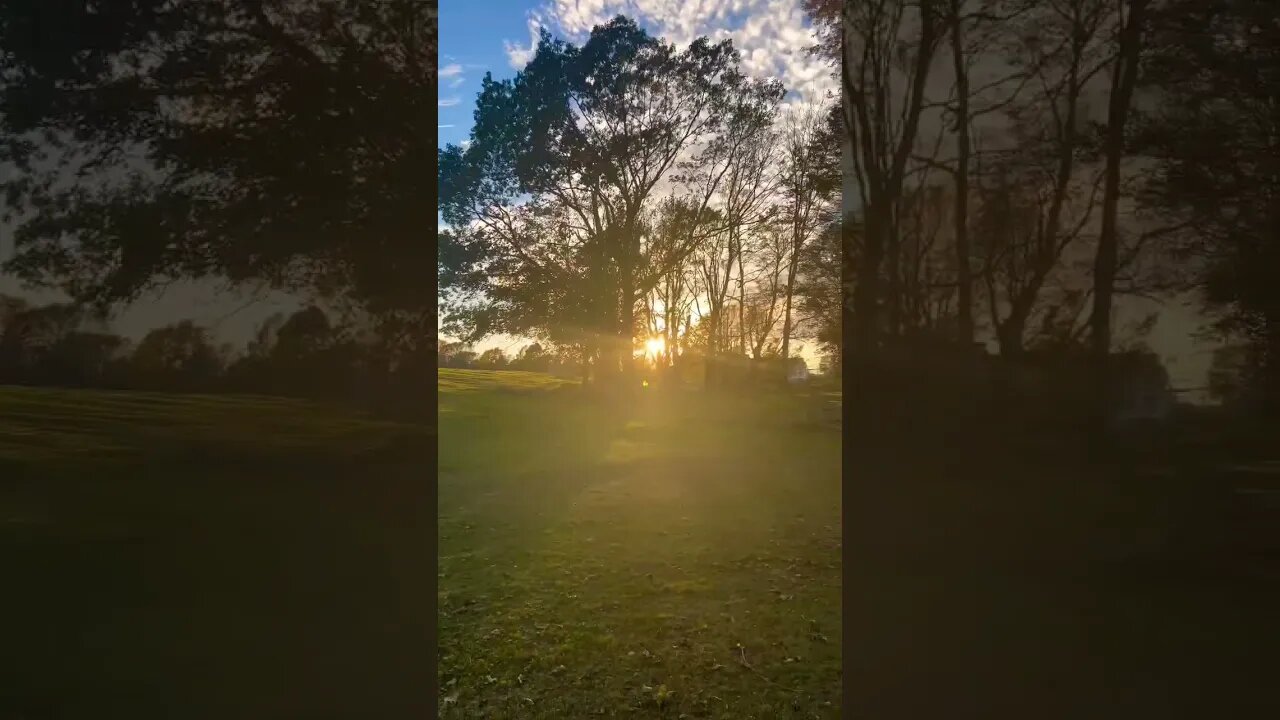 Post Hurricane Clean up in Canada