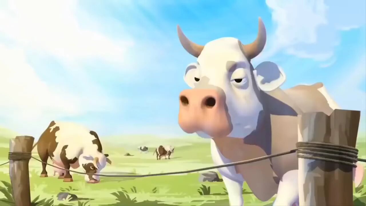 😂 funny animal videos 🤣