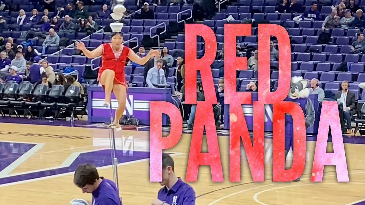 Red Panda Unicycle Acrobat Halftime Show