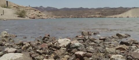 Bacteria at Lake Mohave