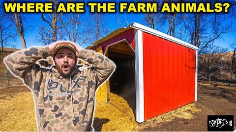 The TRUTH about where all of my BACKYARD FARM ANIMALS have been.