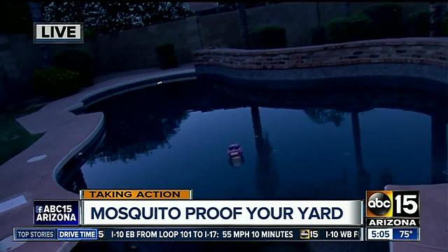 Mosquitoes more active as weather heats up, experts say