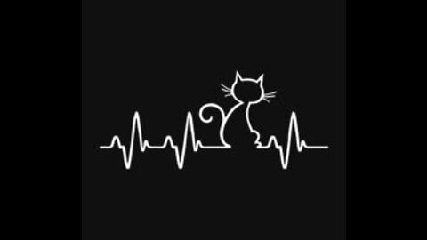 Cat toilet trainning step by step