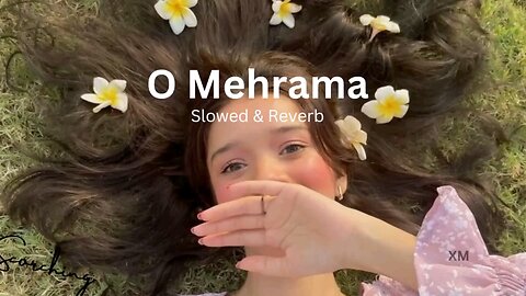 O Mehrama ｜｜ Love Song 🦋 ｜｜ Slowed & Reverb ｜｜ XM Collections｜｜ #lovesong #slowedreverb #yt