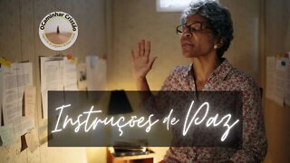 Instruções de Paz Sl139