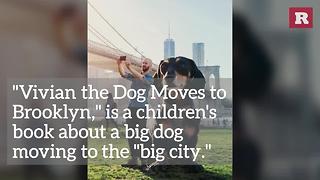 Little Dog, Big City | Rare Animals