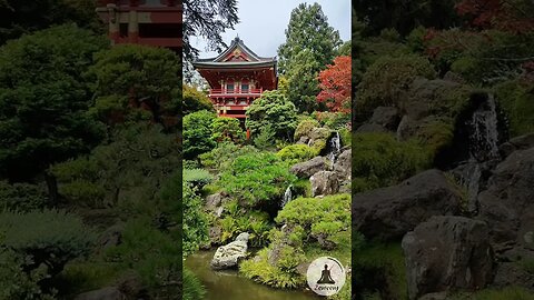 Beautiful Pagoda House & Waterfall 🏯 Tranquility at San Francisco Japanese Tea Garden #calming