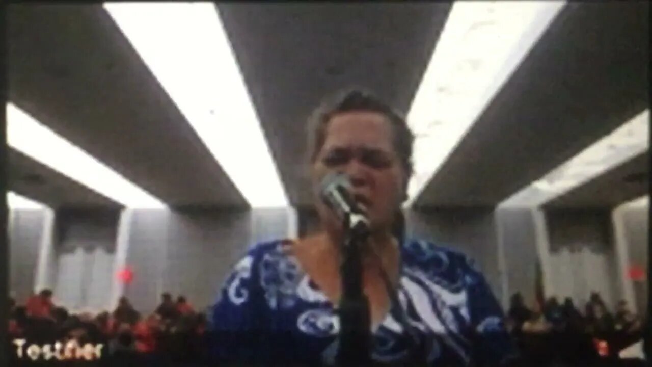 "I don't even know how I made it out" 'HAWAIIAN KINGDOM' Council 9-27-23 Testifier 35