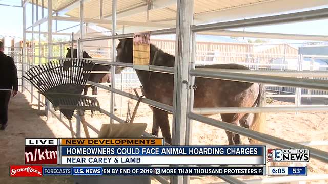 Metro investigated after 12 horses rescued from home