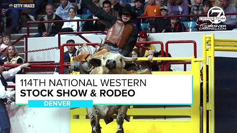 Giddy up, Denver! Here are the 7 best things to do in Colorado this weekend: Jan. 10-12, 2019