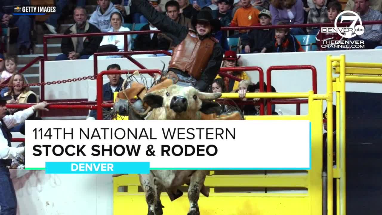 Giddy up, Denver! Here are the 7 best things to do in Colorado this weekend: Jan. 10-12, 2019