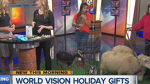 World Vision Holiday Gifts