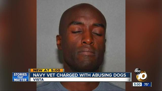 Navy veteran charged with abusing dogs