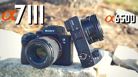 Sony A7iii vs Sony A6500: 4K Video + Photo Comparison