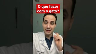 TENHO RINITE, QUE FAZER COM O GATO? | Dr. Álef Lamark