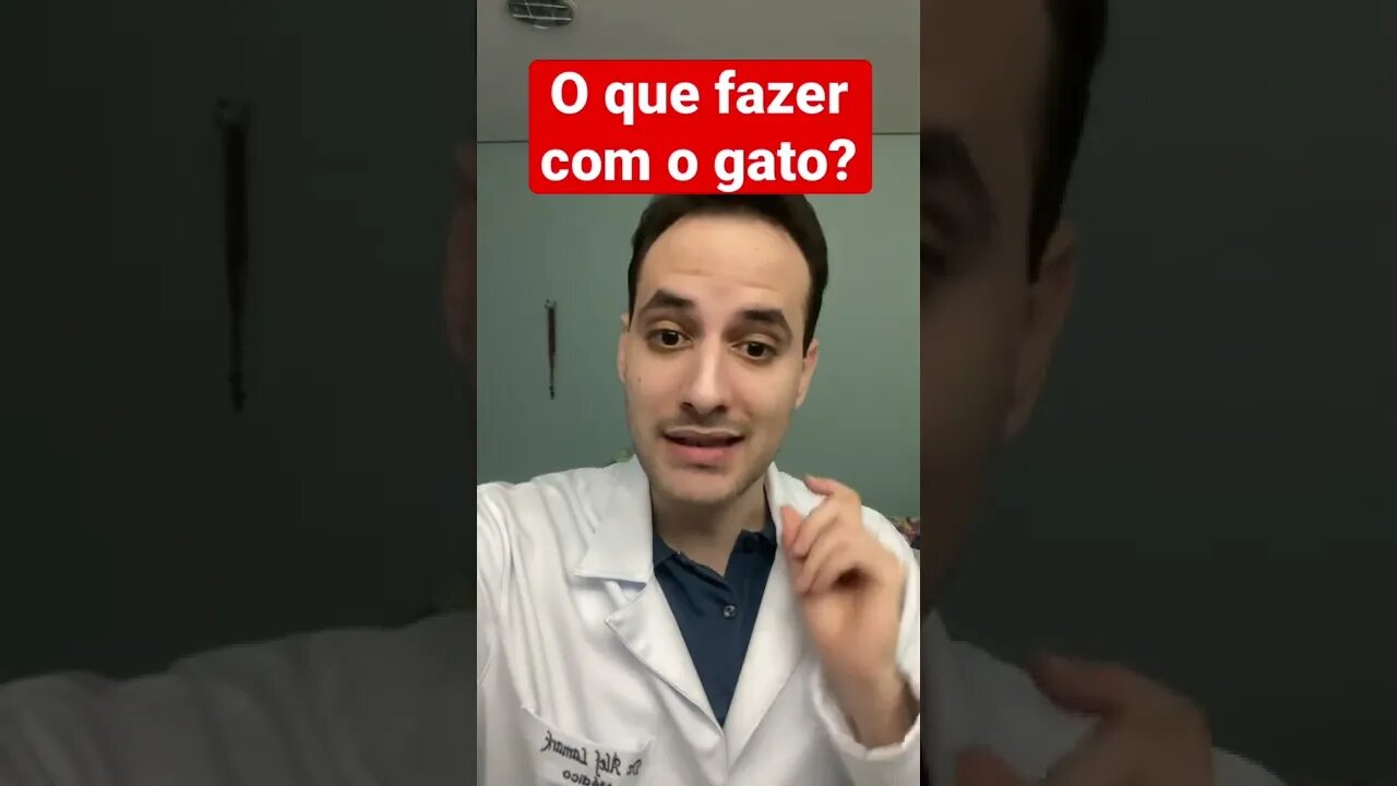 TENHO RINITE, QUE FAZER COM O GATO? | Dr. Álef Lamark