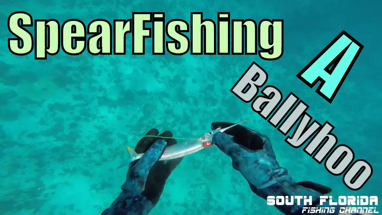 Spearfishing ballyhoo & finding a reef anchor