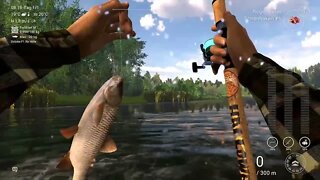 Fishing Planet Folge 524 eine dumme Ziege fangen Teil 3