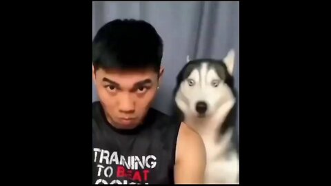 Best Funny Dogs of Internet 😂😂😂😂