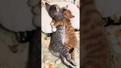 Happy Valentines Day! ❤️