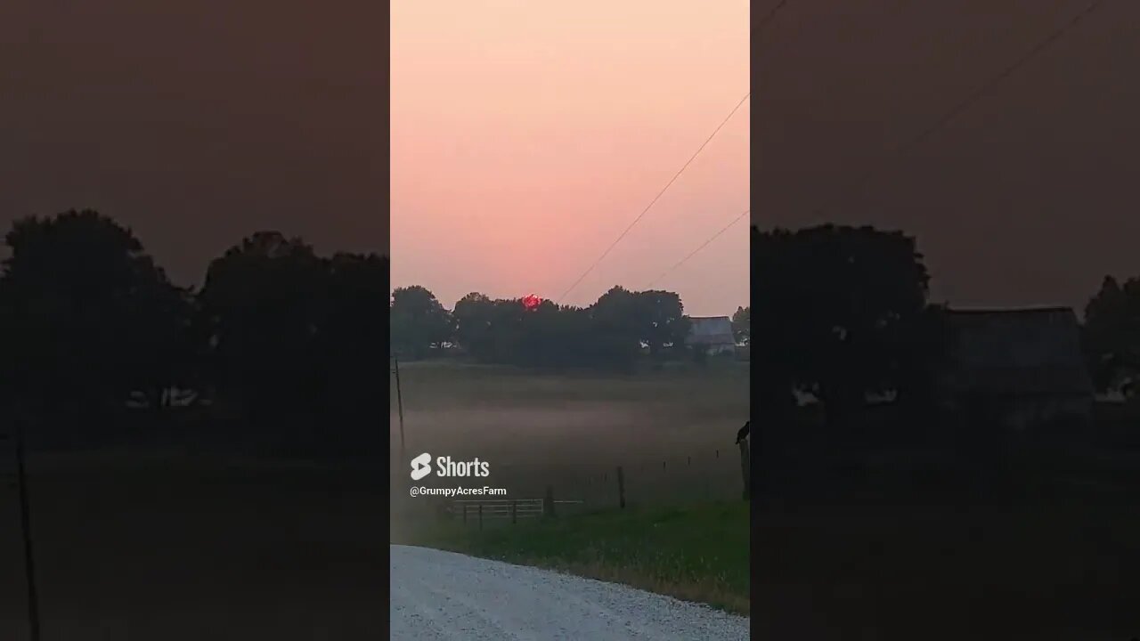 Canadian Wildfire Smoke In North East Kansas Sept 6, 2023 #shorts #wildfiresmoke #kansas