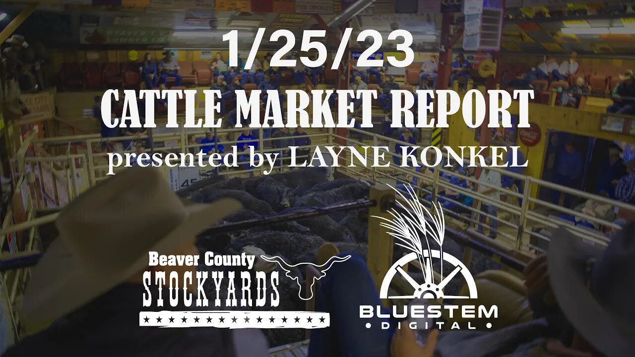 1/25/23 Beaver County Stockyards Cattle Market Report