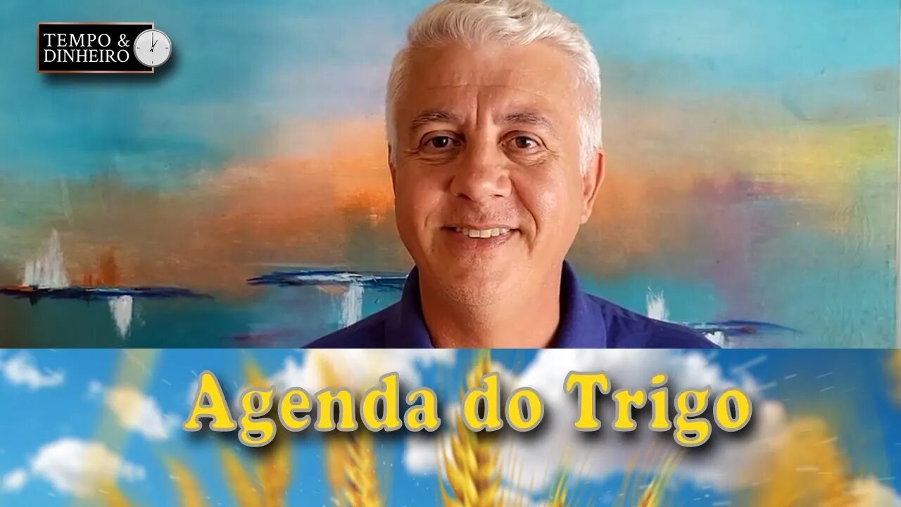 Mesmo com todo o movimento do mercado, os preços não caíram mais do que U$2,00/tonelada