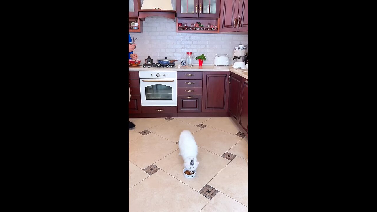 They see everything shorts by Secret Vlog (1080p) short video