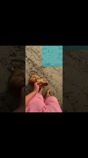 25 Surprising Things You Can Find On Allmylinks.