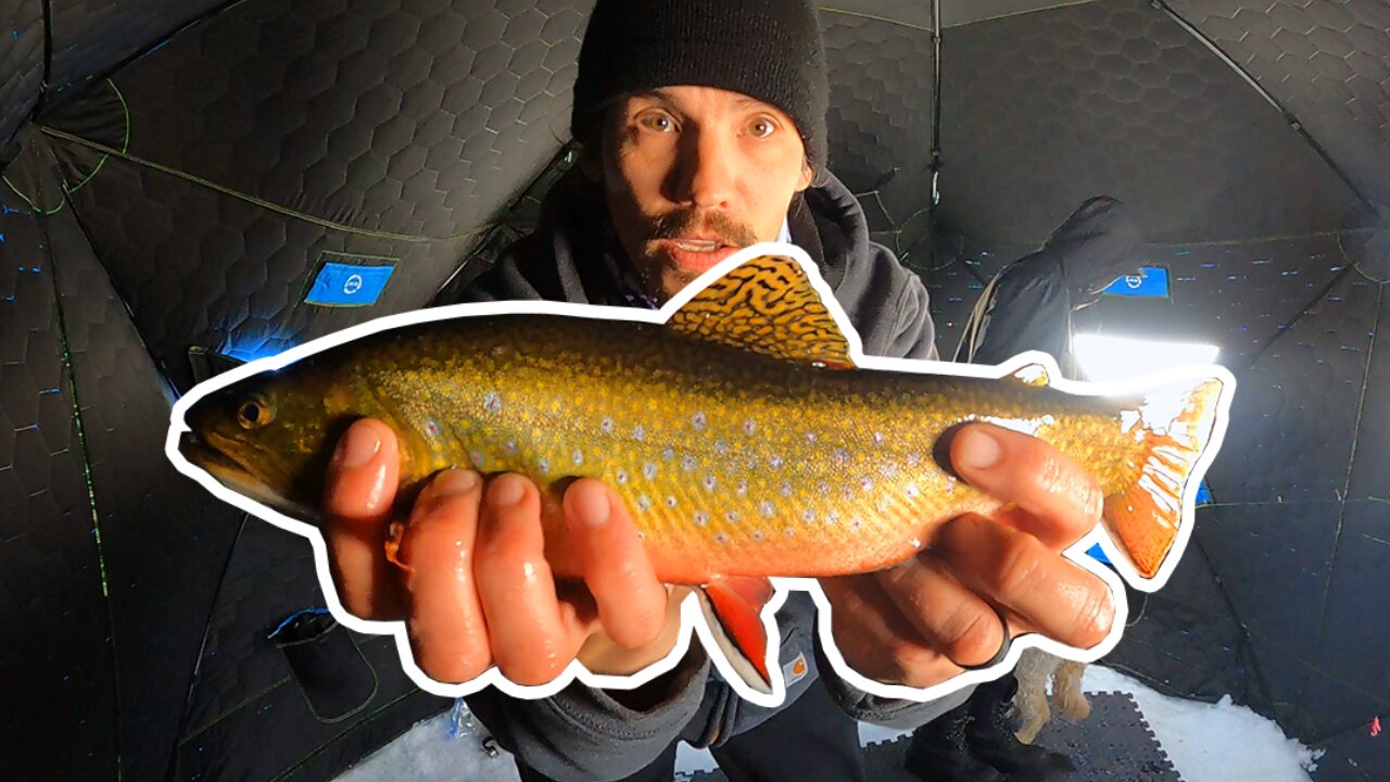 Catching Big Brook Trout on and Underwater Camera at Long Lake