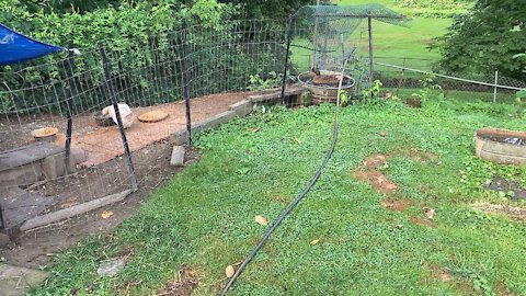 My Humble Poultry Coop and Run