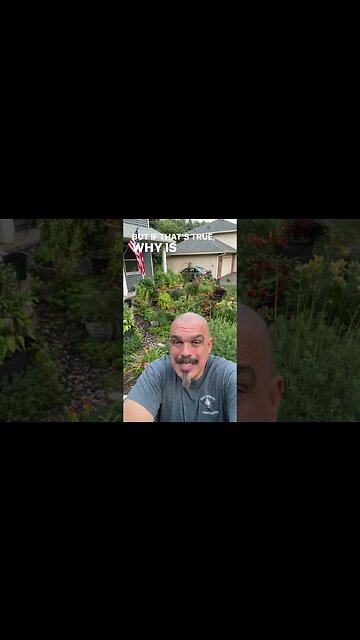 Freedom of Speech is YOUR Human Right