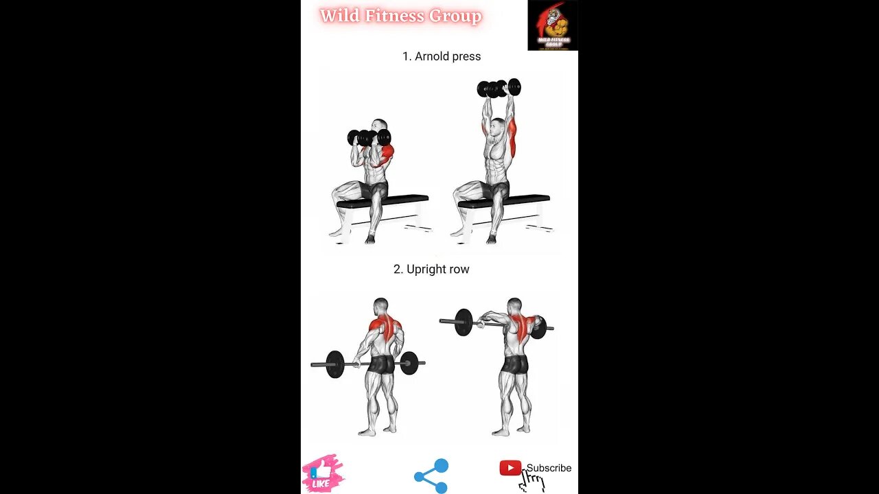 🔥Several gym fitness exercises🔥#fitness🔥#wildfitnessgroup🔥#shorts🔥
